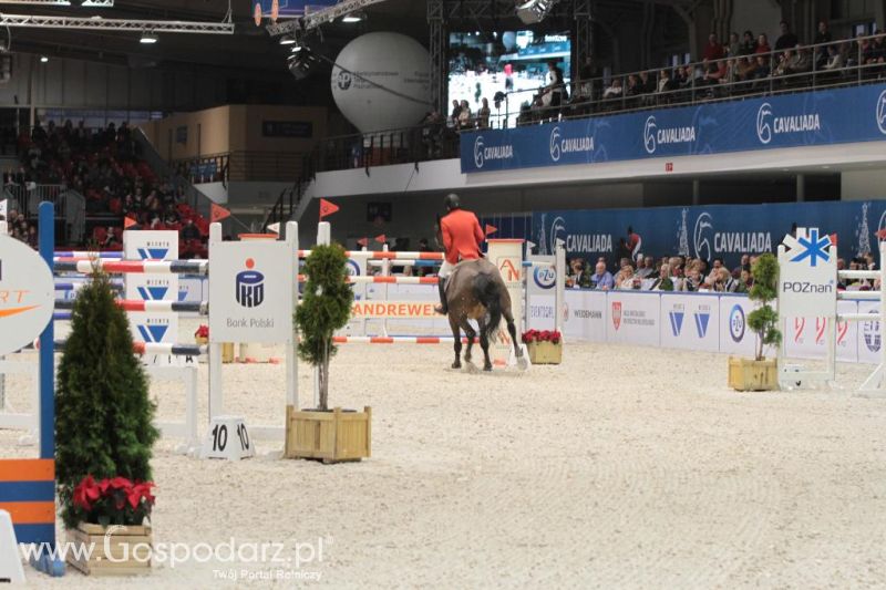 CAVALIADA 2013 w Poznaniu