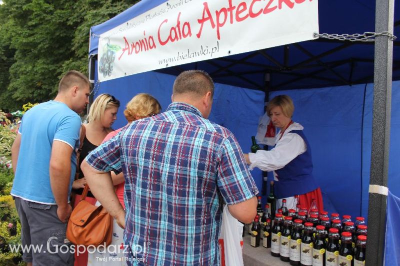Regionalna Wystawa Zwierząt Hodowlanych i Dni z Doradztwem Rolniczym w Szepietowie-niedziela