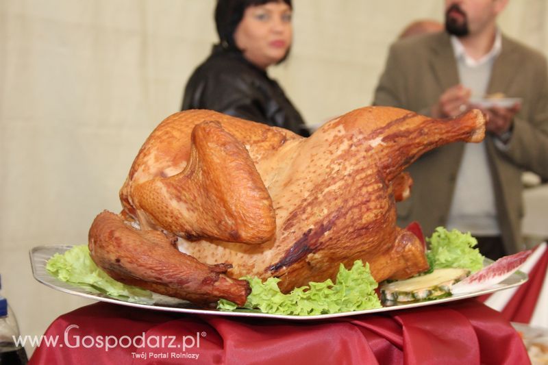  Pokaz Kulinarny z degustacją potraw z indyka Na Pierwszym Święcie Indyka