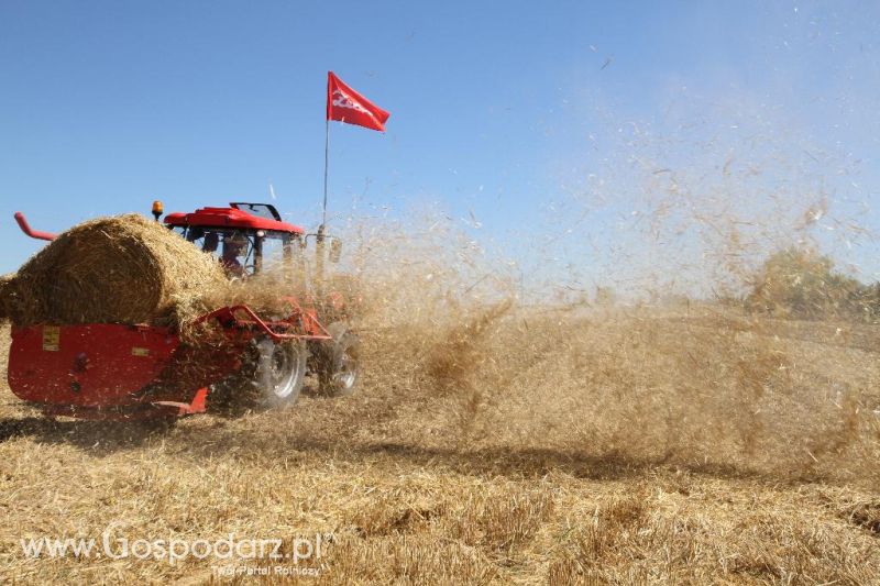 Zetor Family Tractor Show 2013 - Opatów