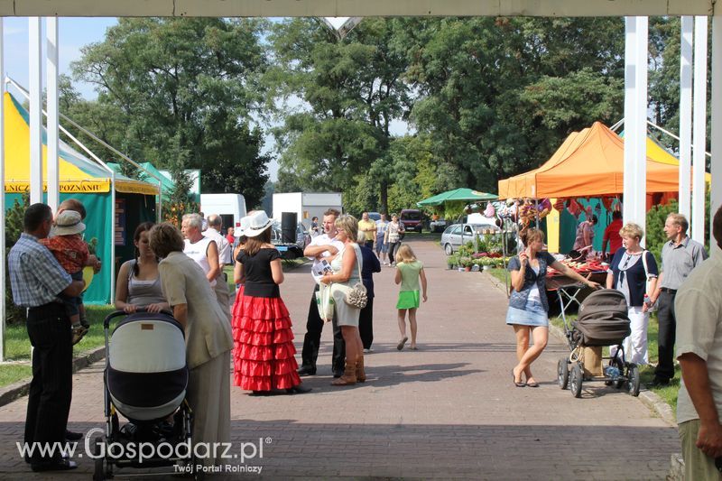 Ogólnopolski Festiwal Wieprzowiny w Sielinku