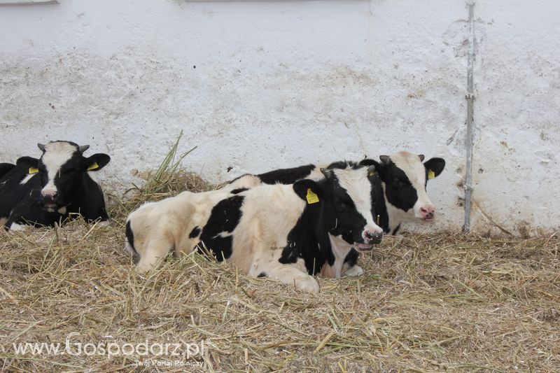 IV Regionalne Targi Rolnicze Gołaszyn – Wiosna 2011 – Galeria