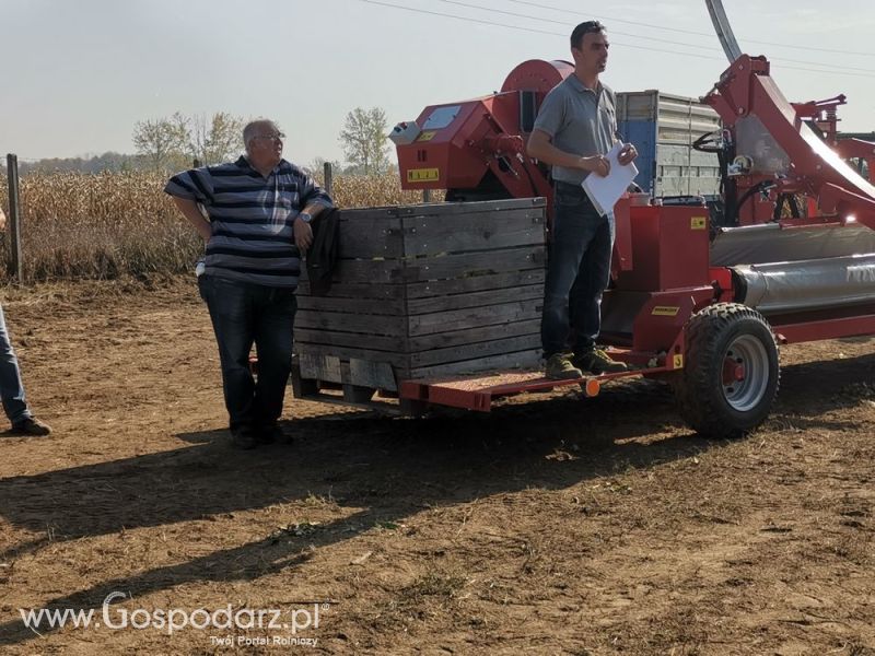 MAJA AUTOMATIC model LK zbiór jabłek