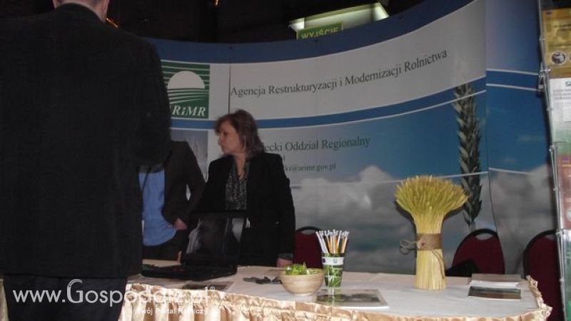 Wybór wójta roku 2011