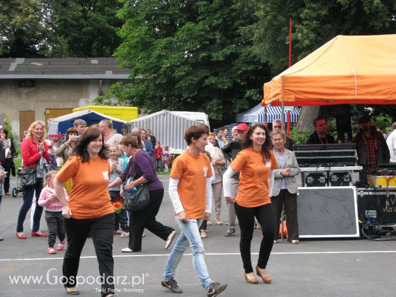 Festiwal Wieprzowiny w Koźminie Wielkopolskim 2013