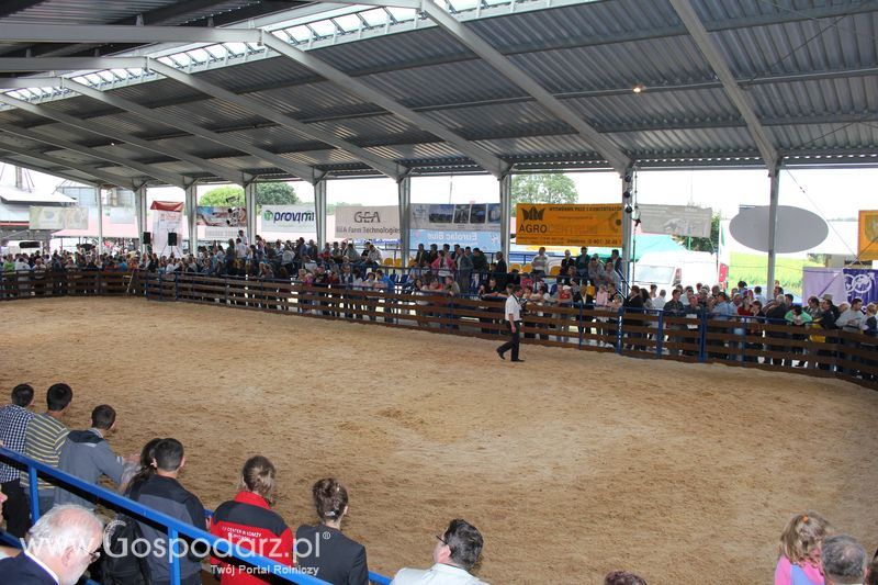 XVIII Regionalna Wystawa Zwierząt Hodowlanych w Szepietowie - niedziela