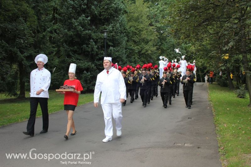 Świętomięs Polski w Chorzowie