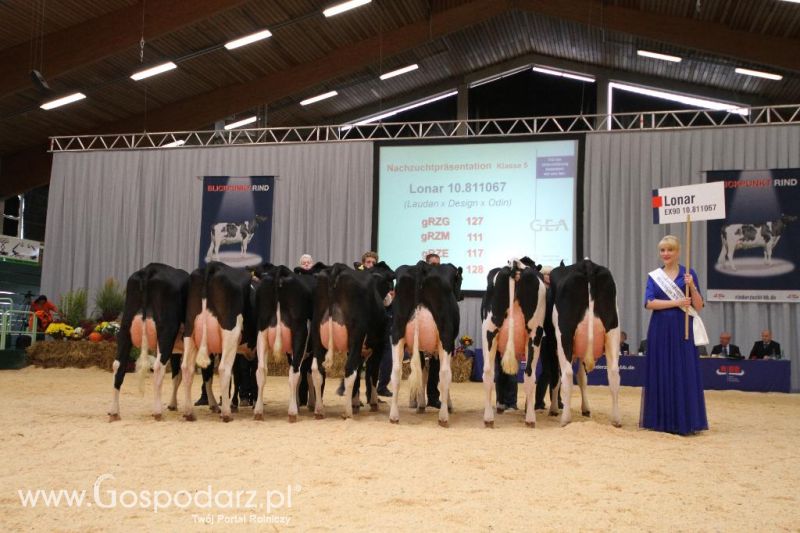 Wystawa  Blickpunkt Rind 2013 w miejscowości Paaren/Glien (Niemcy)
