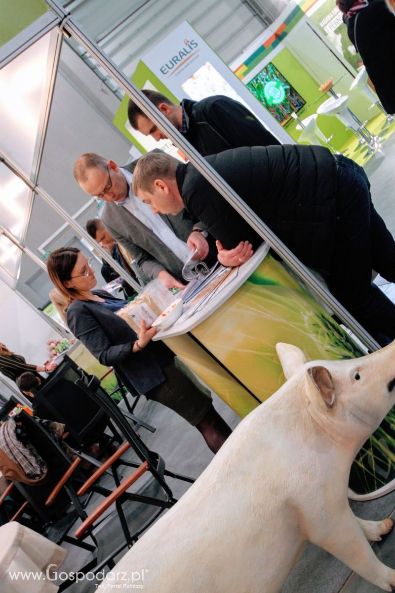 Ferma 2019 dzień 2