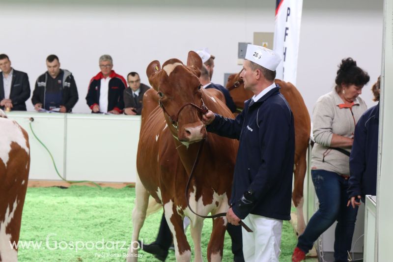 Krajowa Wystawa Zwierząt Hodowlanych w Poznaniu 2017 (piątek, 5 maja)