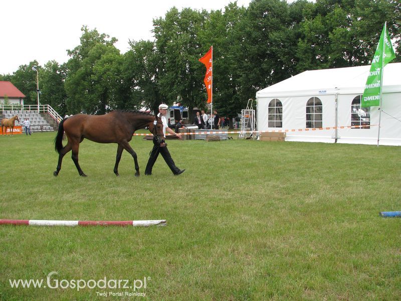 Wystawa Koni Sielinko 2011