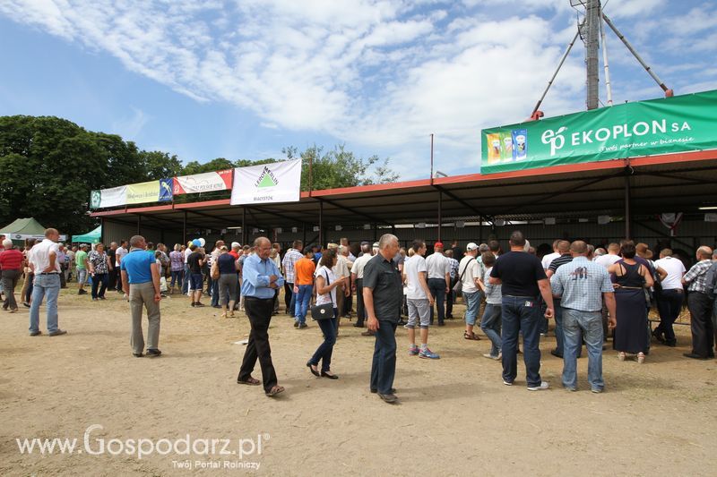 Targi rolne w Szepietowie (27-28.06.2015)