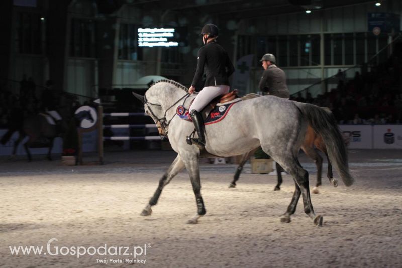 CAVALIADA 2013 w Poznaniu