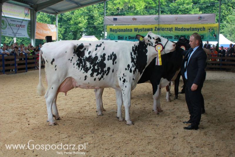 Regionalna Wystawa Zwierząt Hodowlanych i Dni z Doradztwem Rolniczym w Szepietowie-niedziela
