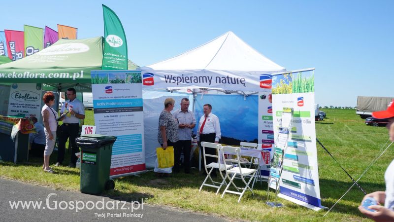 ZIELONE AGRO SHOW 2017 w Ułężu (niedziela, 28 maja)