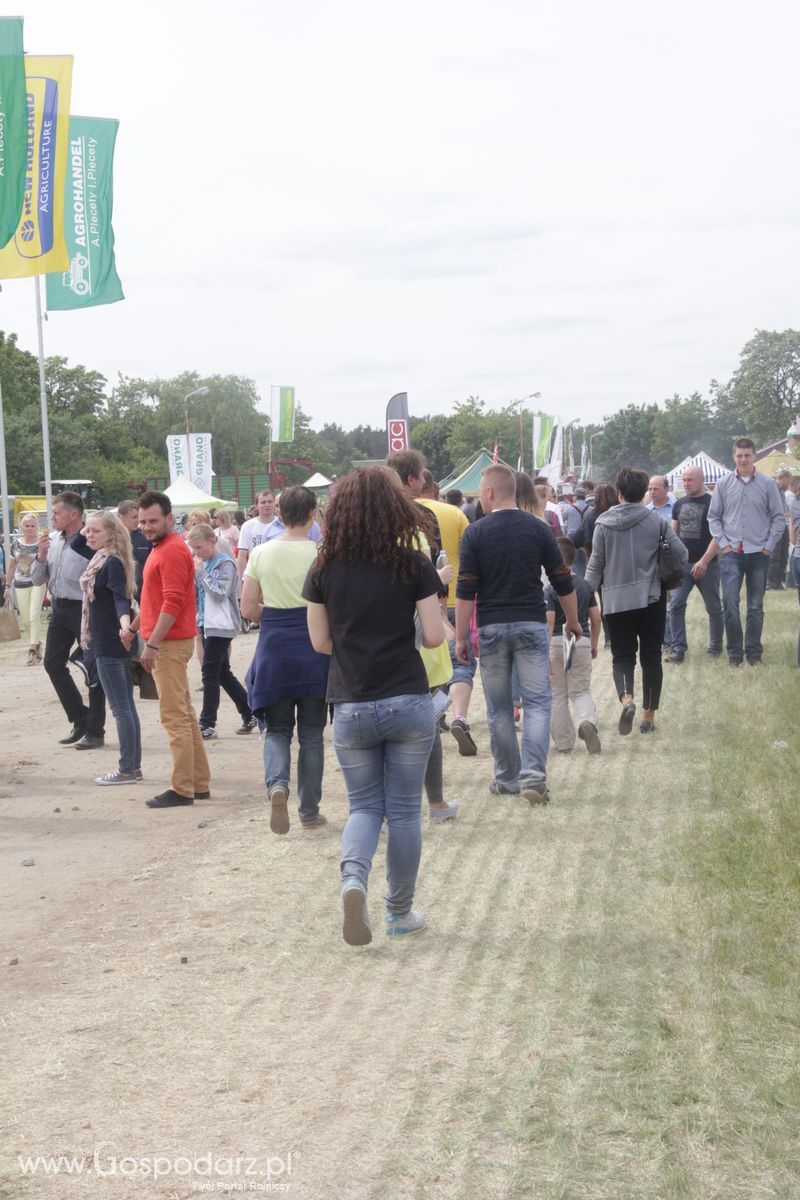 Zielone AGRO SHOW - Polskie Zboża 2015 w Sielinku