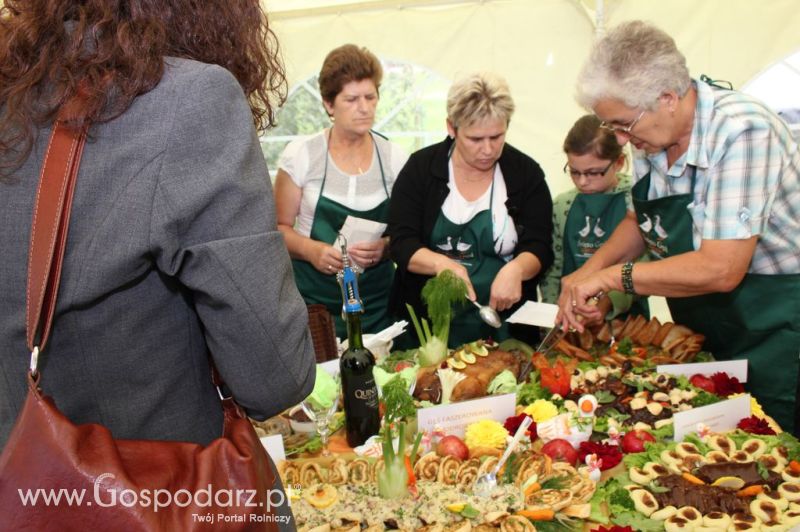 IX Święto Gęsi w Biskupcu