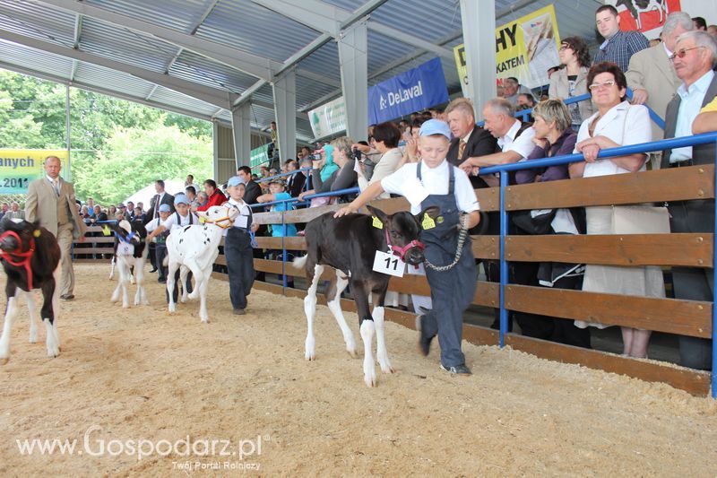 Młody hodowca na XVIII Regionalnej Wystawie Zwierząt Hodowlanych w Szepietowie