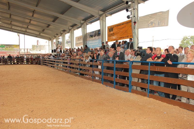 XVIII Regionalna Wystawa Zwierząt Hodowlanych w Szepietowie - niedziela