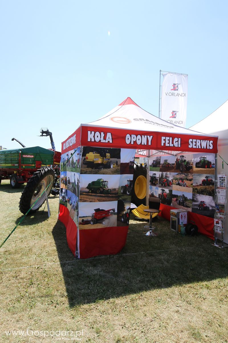 Grasdorf Koła Polska Sp. z o.o. na Targach Agro-Tech w Minikowie
