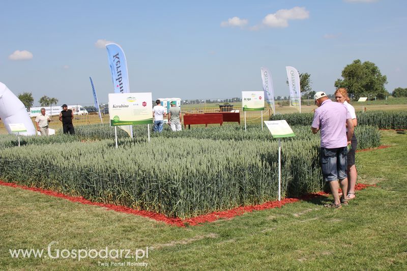 Polskie Zboża 2011 - Sobota