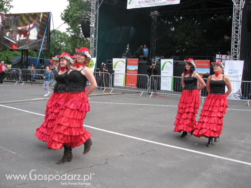 Festiwal Wieprzowiny w Koźminie Wielkopolskim 2013