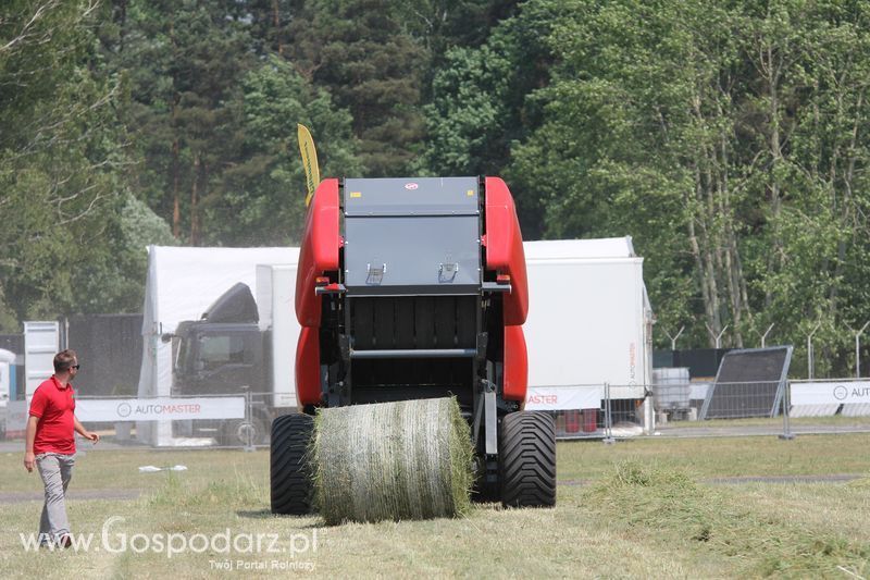 Pokazy polowe podczas targów OPOLAGRA 2015