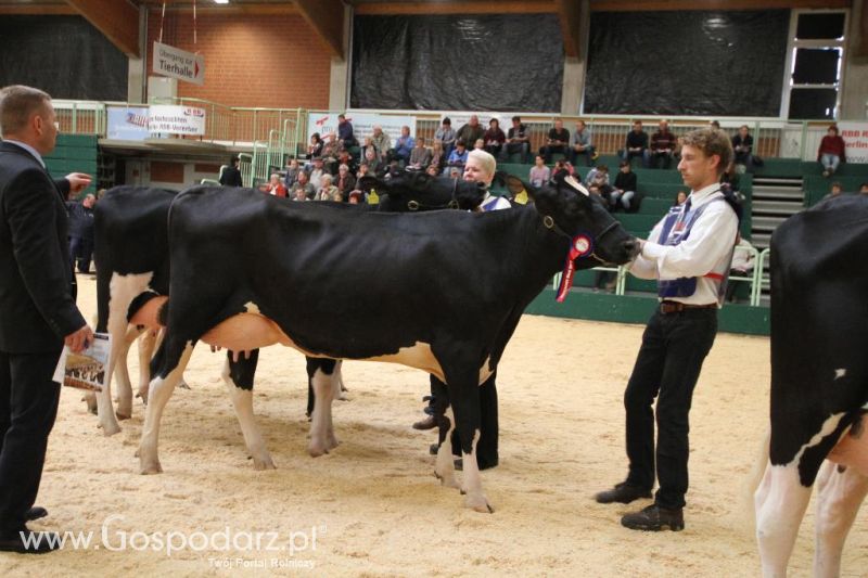 Wystawa  Blickpunkt Rind 2013 w miejscowości Paaren/Glien (Niemcy)