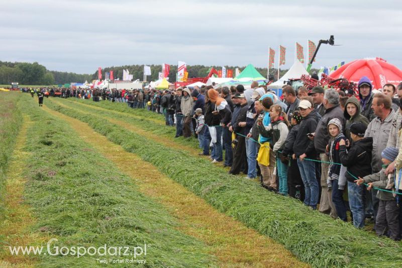 Pokazy maszyn Polskie Zboża Zielone Agro Show 2013