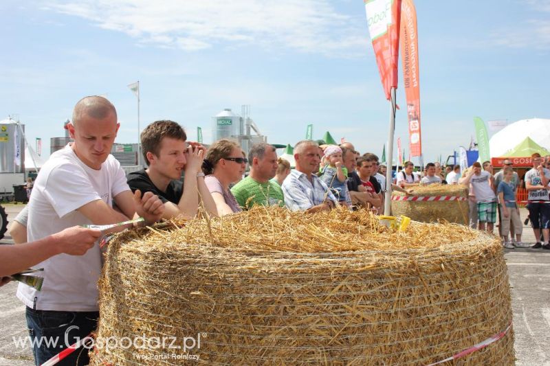 Turniej Precyzyjny Gospodarz Opolagra 2013 niedziela