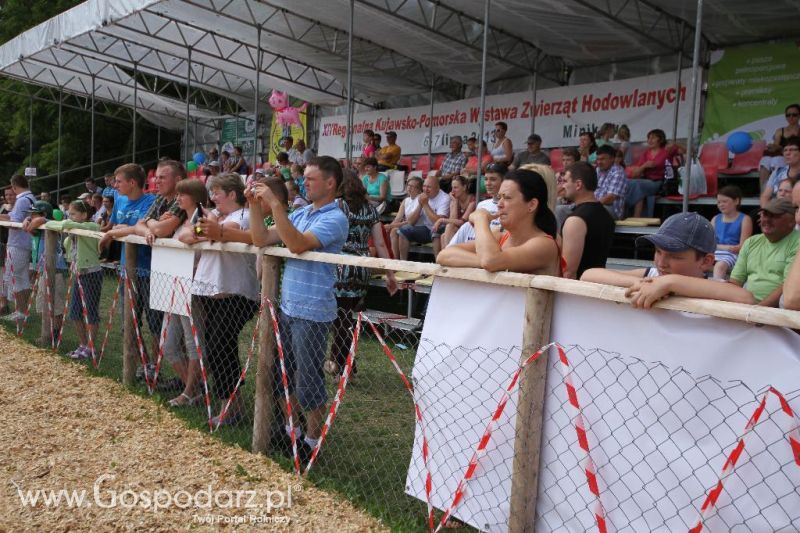 AGRO-TECH w Minikowie 2013