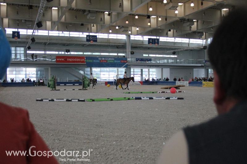 XXVI Krajowa Wystawa Zwierząt Hodowlanych - sobota i niedziela