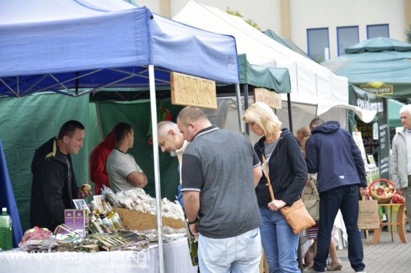  Targi ROLEXPO 2014