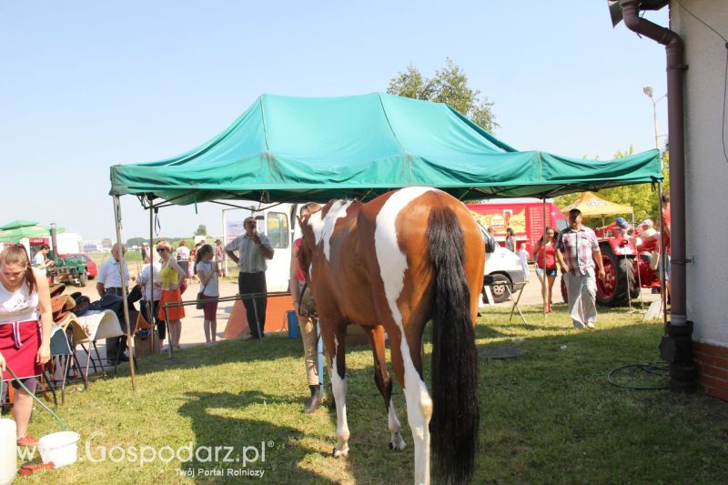 Zielone AGRO SHOW – POLSKIE ZBOŻA 2014 w Sielinku - niedziela