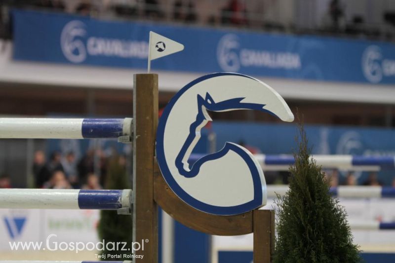 CAVALIADA 2013 w Poznaniu
