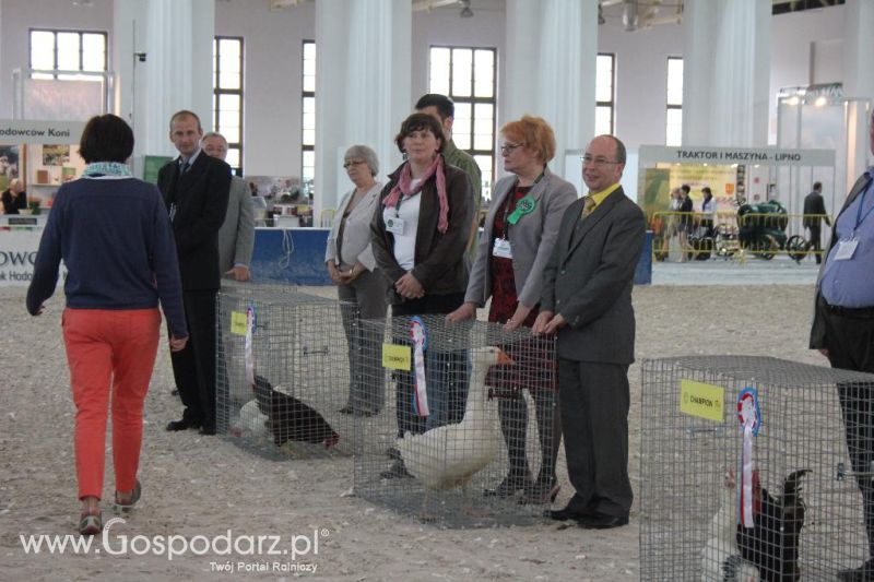 XXVI Krajowa Wystawa Zwierząt Hodowlanych - sobota i niedziela