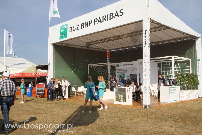 AgroShow 2018