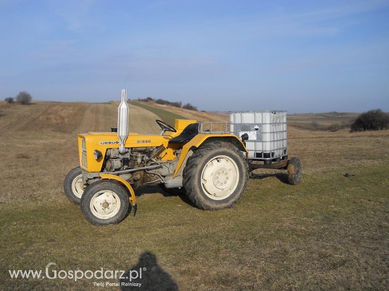  Piotrek9095