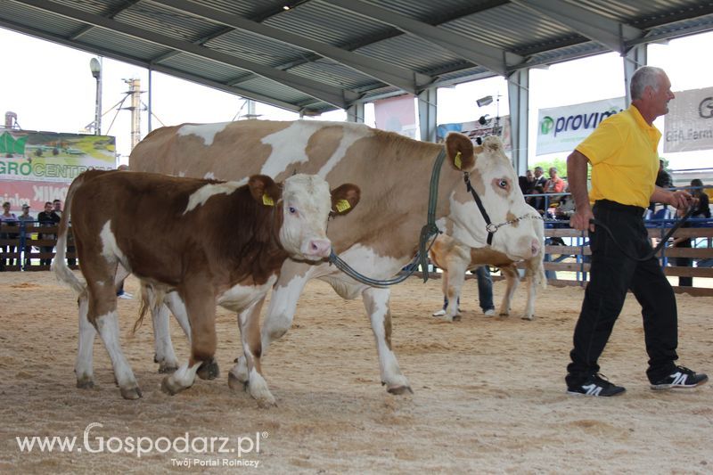 XVIII Regionalna Wystawa Zwierząt Hodowlanych i Dni z Doradztwem Rolniczym w Szepietowie - Sobota