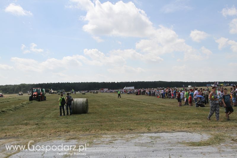 OPOLAGRA 2015 w Kamieniu Śląskim