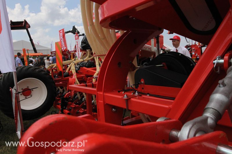 Maschio Gaspardoona na OPOLAGRA Kamień Śląski 2018