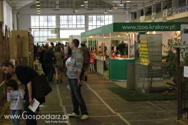 XXVI Krajowa Wystawa Zwierząt Hodowlanych - piątek