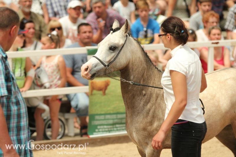 Zielone AGRO SHOW – POLSKIE ZBOŻA 2014 w Sielinku - niedziela