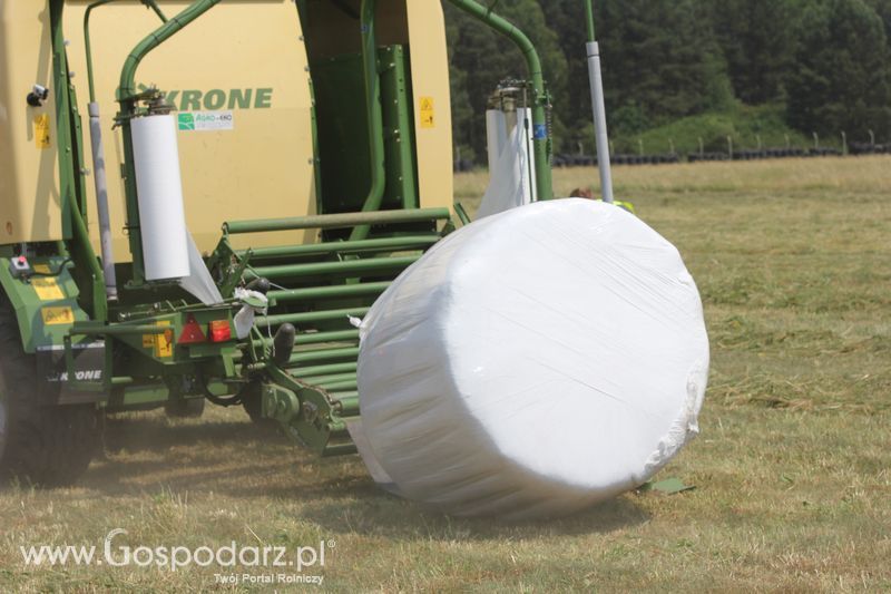 Pokazy polowe podczas targów OPOLAGRA 2015