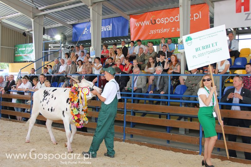 Bydło - Szepietowo 2012 XIX Regionalna Wystawa Zwierząt Hodowlanych