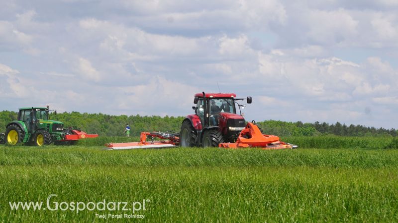 ZIELONE AGRO SHOW 2017 w Ułężu (niedziela, 28 maja)