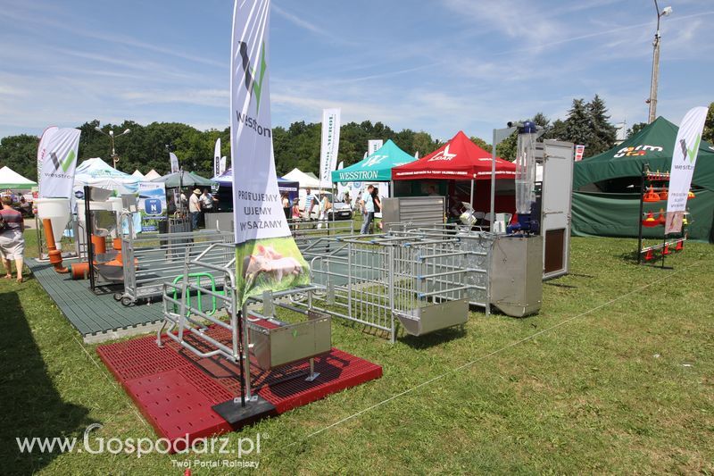 Wesstron na Agro-Tech w Minikowie 2016