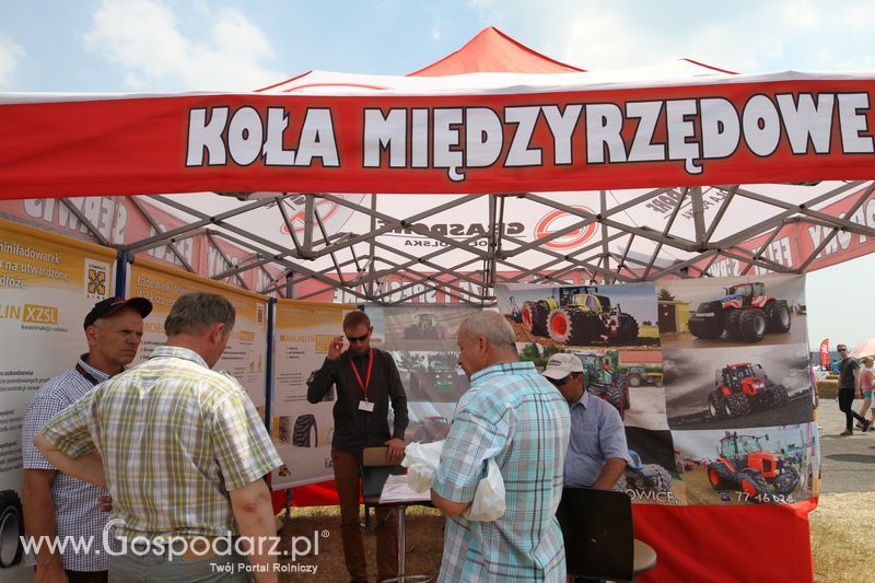 OPOLAGRA 2015 w Kamieniu Śląskim