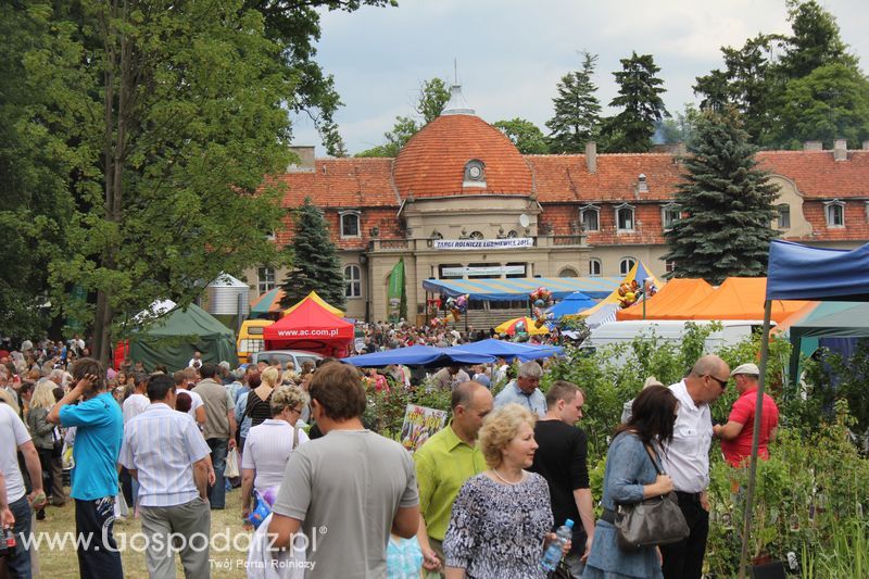  XX Targi Rolnicze Lubniewice