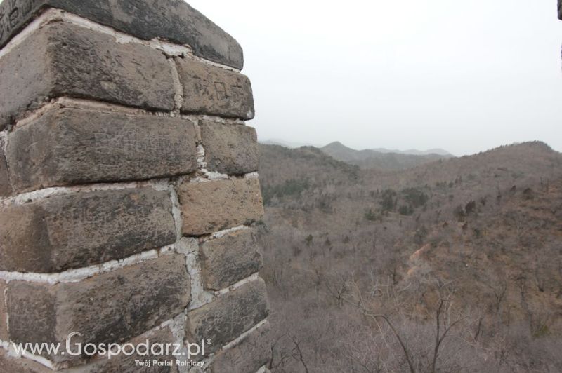 Gospodarz.pl w Chinach